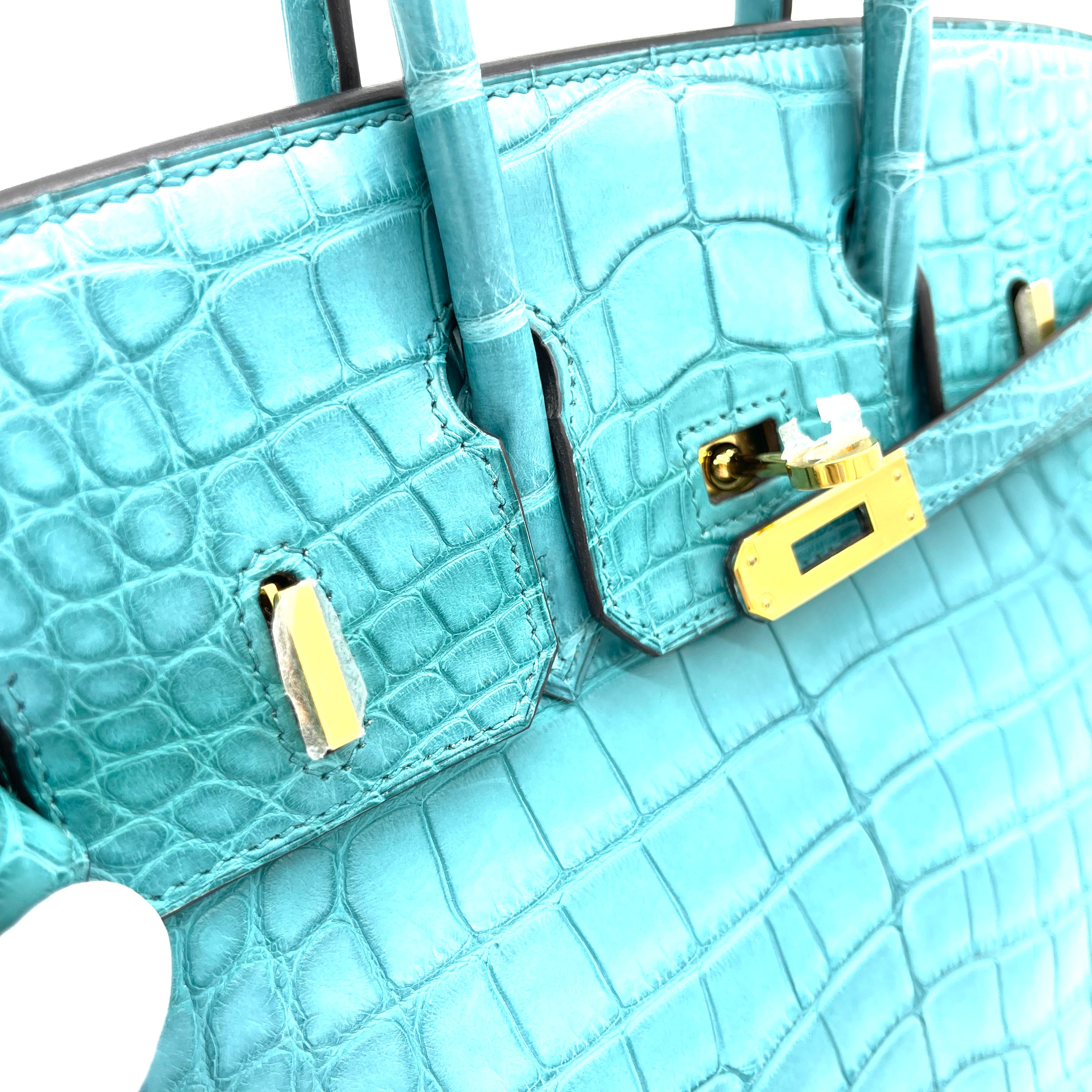 Hermes Birkin crocodile Tiffany color bag