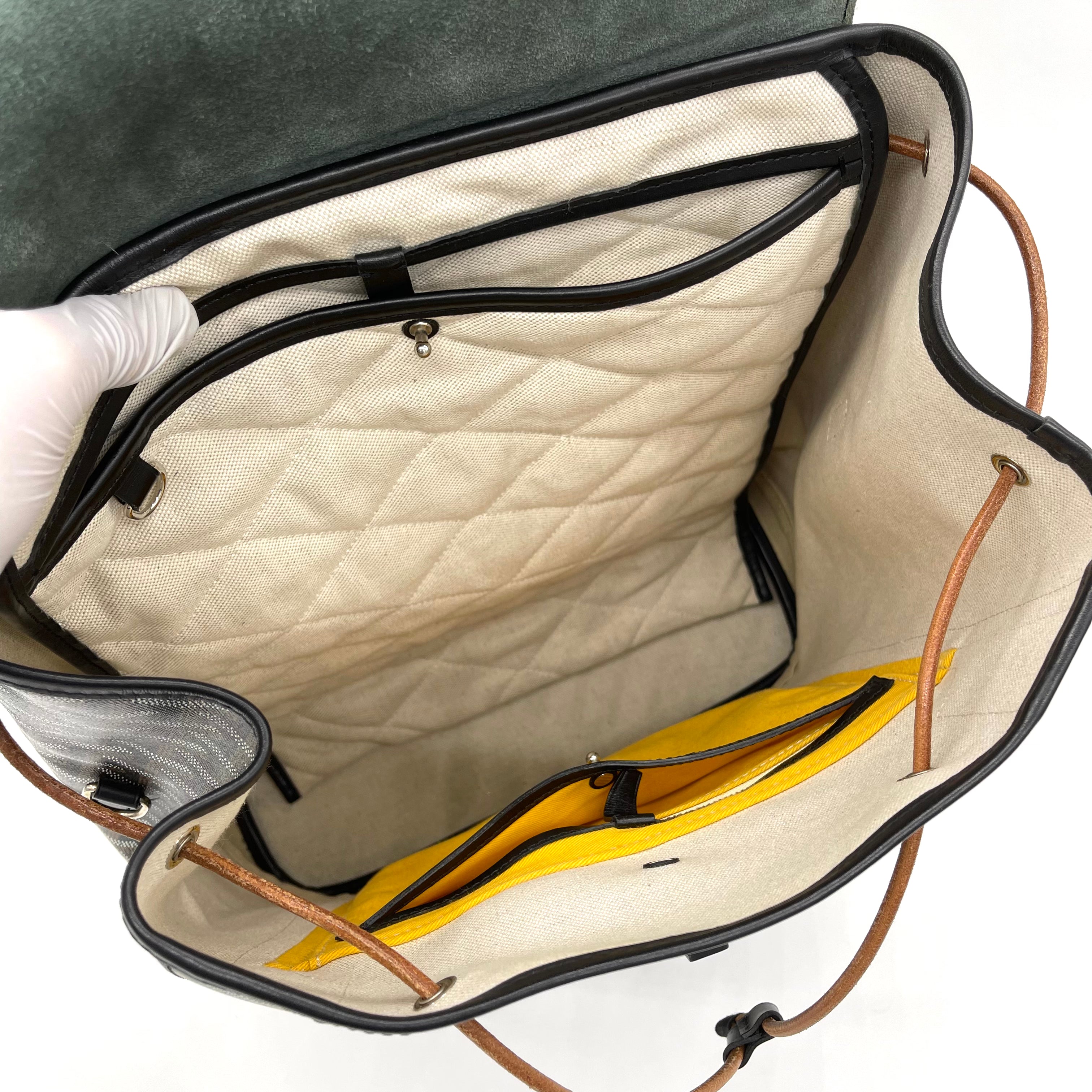 Goyard Goyardine Calfskin Alpin Backpack