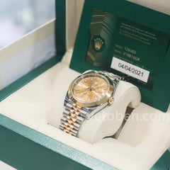 롤렉스 Datejust 41mm 옐로우 골드/스틸 샴페인 인덱스 다이얼 스무스 베젤