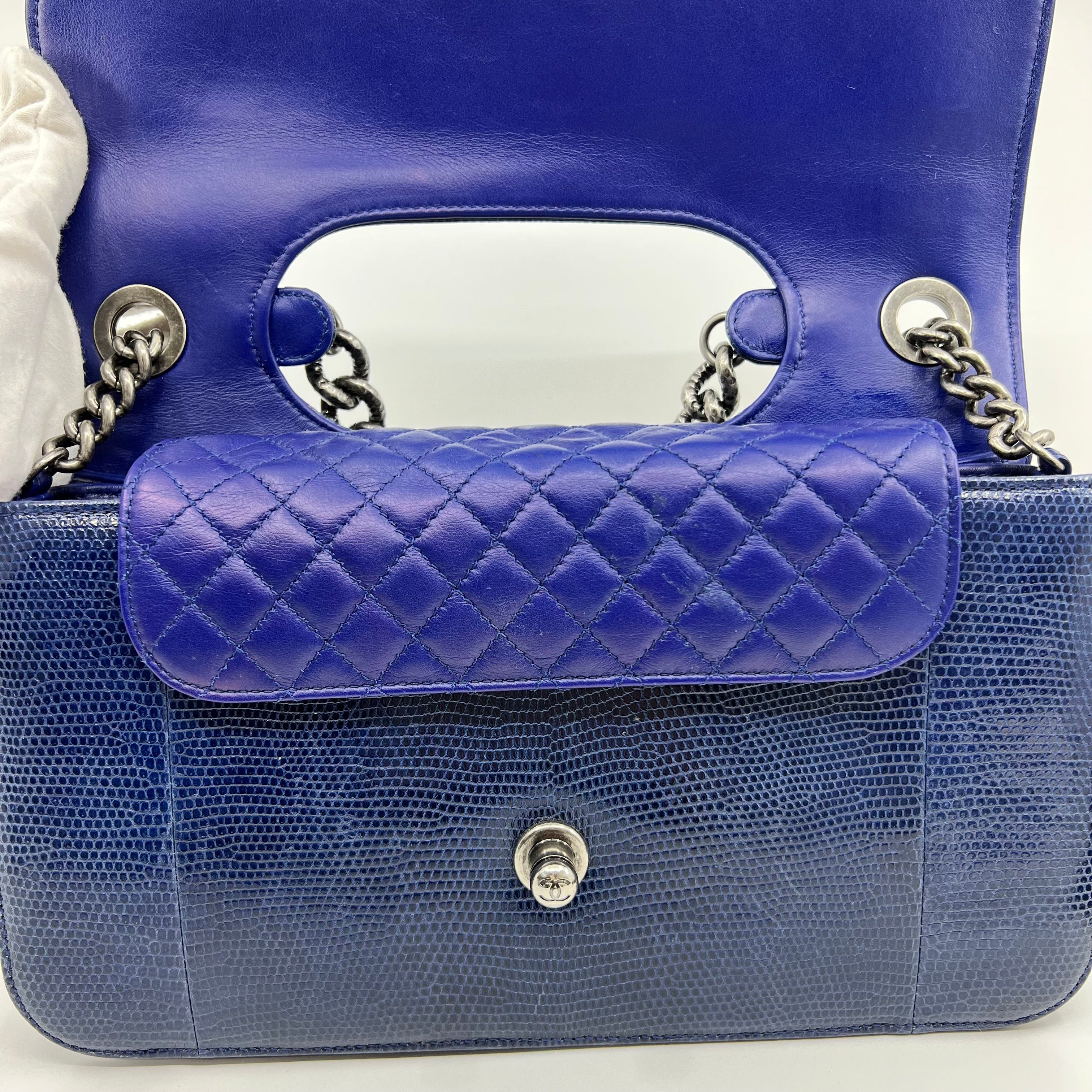 Chanel Lizard Leather & Quilted Lambskin Perfect Edge Classic Single Flap Bag