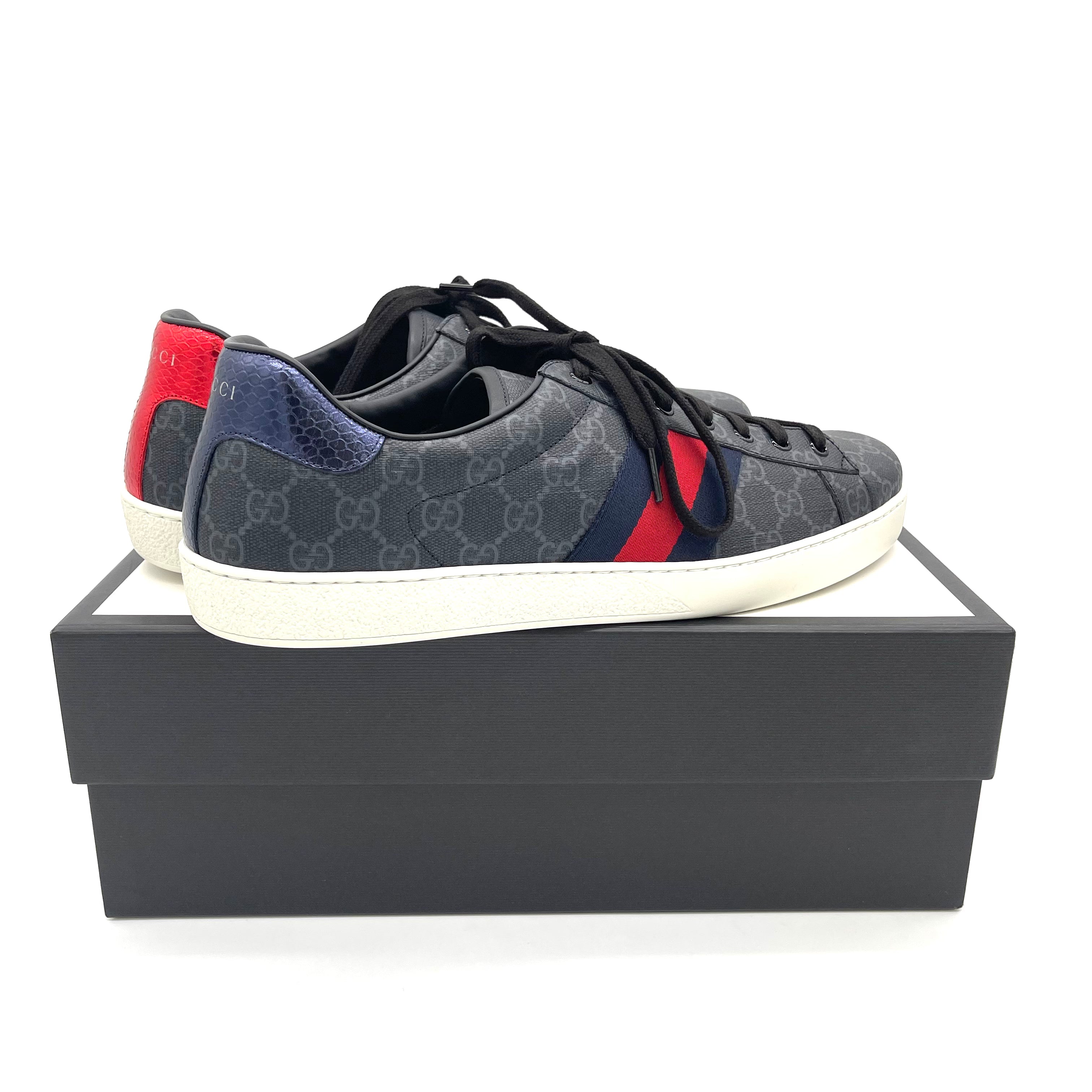 Ace gg supreme sneaker cheap outlet