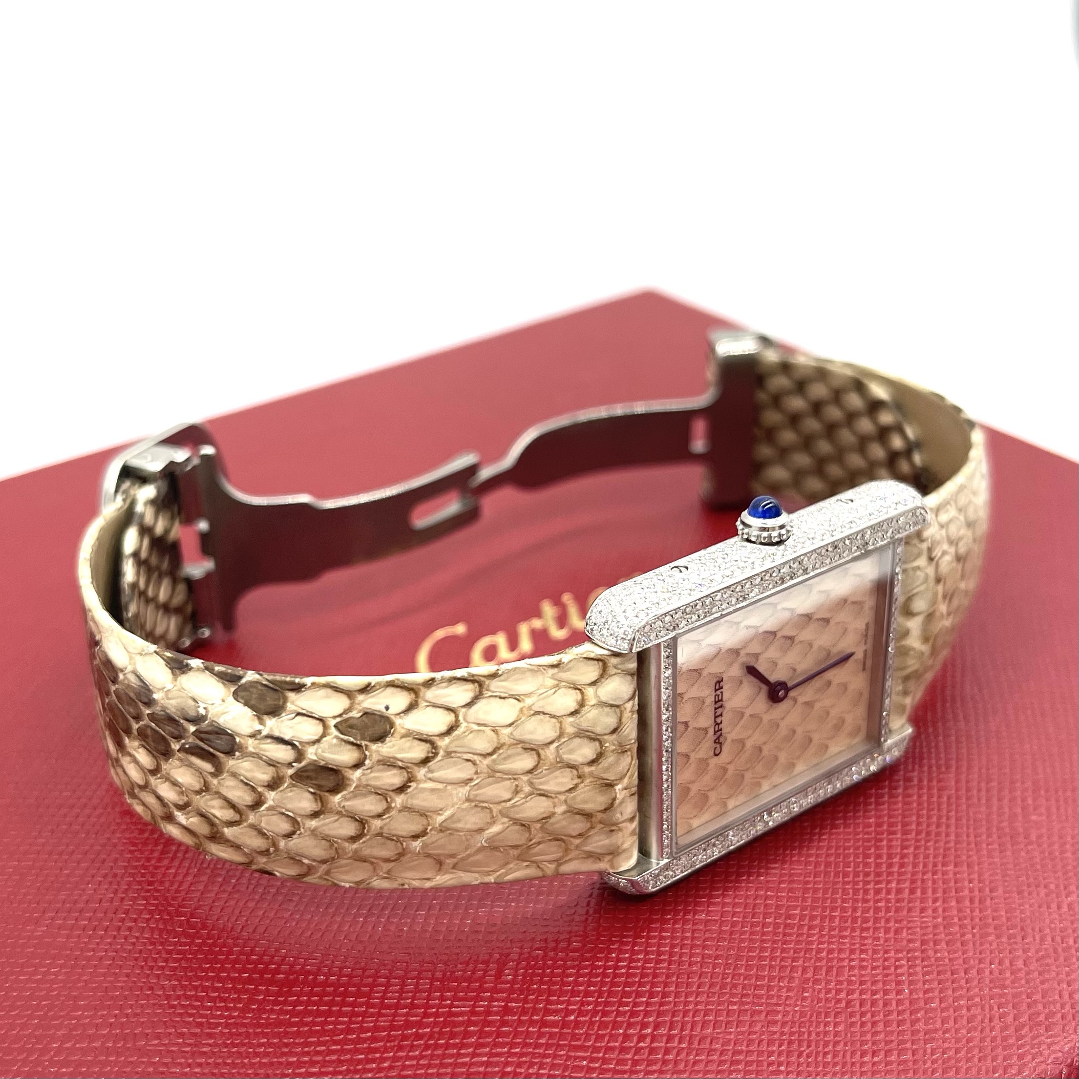 Cartier Tank Solo Python W5200021 27mm Stainless Steel Watch – Large Model - Image 3
