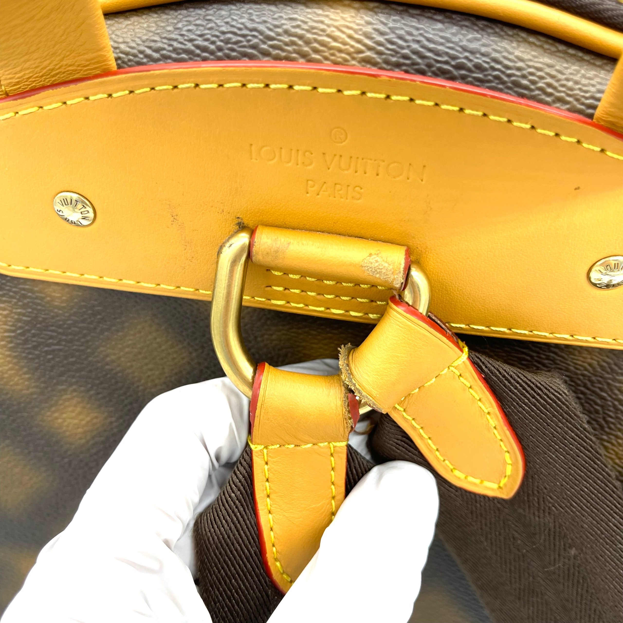 LOUIS VUITTON Limited Edition Monogram Blurry Ellipse Backpack