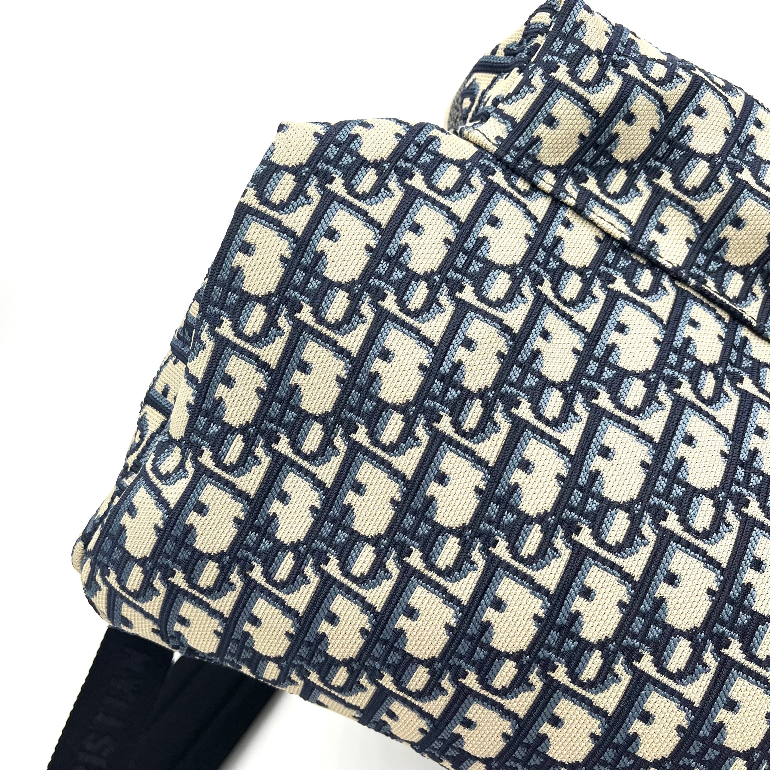 Christian Dior Oblique Diortravel Backpack Blue